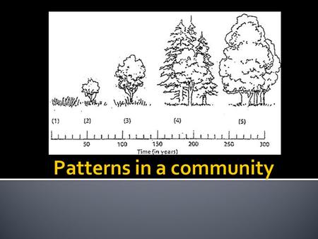 Patterns in a community