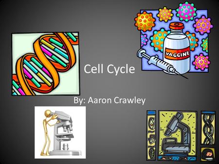 Cell Cycle By: Aaron Crawley. Interphase \ Interphase-prep stage DNA replicates (exact copy). Prep-stage  ology/the-three-stages-of-