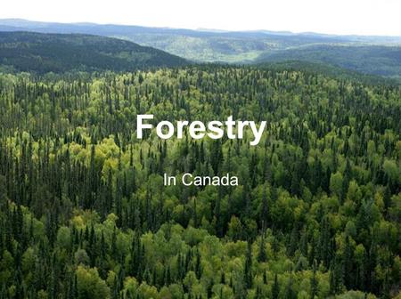 Forestry In Canada.