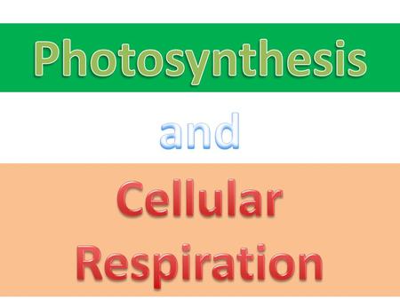 What type of energy is used inside cells and in our bodies?