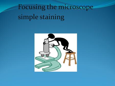 Focusing the microscope simple staining