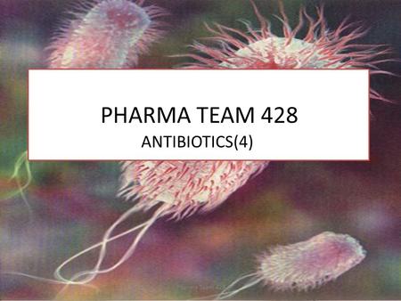 PHARMA TEAM 428 ANTIBIOTICS(4) Pharma Team 428.