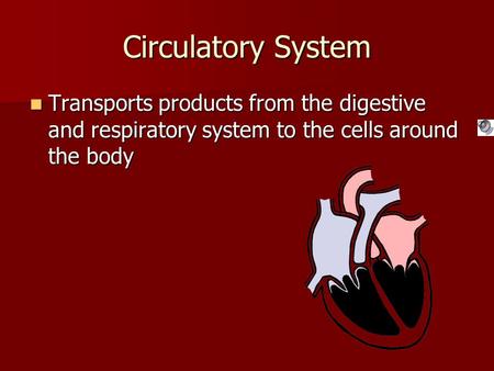 Circulatory System Transports products from the digestive and respiratory system to the cells around the body Transports products from the digestive and.