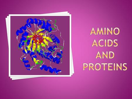 ILO 1-Explain the chemical structure,classification, and properties of amino acids and how peptides are formed. 2-Describe the order of protein organization.