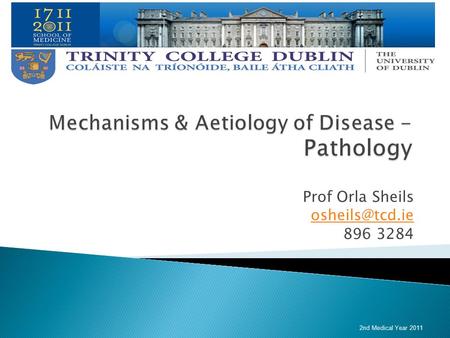 Prof Orla Sheils 896 3284 2nd Medical Year 2011.