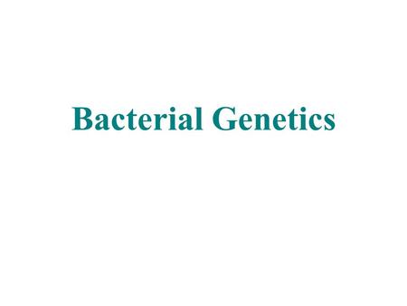 Bacterial Genetics.