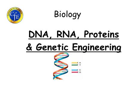 DNA, RNA, Proteins & Genetic Engineering