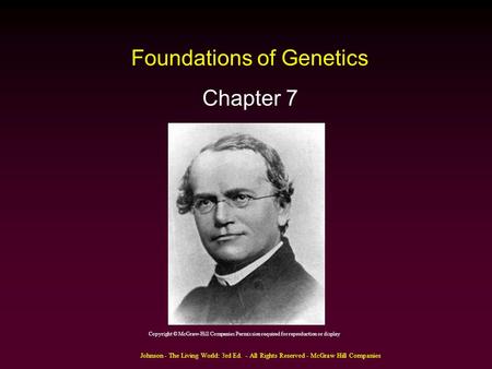 Johnson - The Living World: 3rd Ed. - All Rights Reserved - McGraw Hill Companies Foundations of Genetics Chapter 7 Copyright © McGraw-Hill Companies Permission.