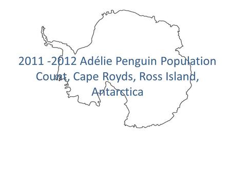 2011 -2012 Adélie Penguin Population Count, Cape Royds, Ross Island, Antarctica.