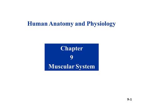 Human Anatomy and Physiology