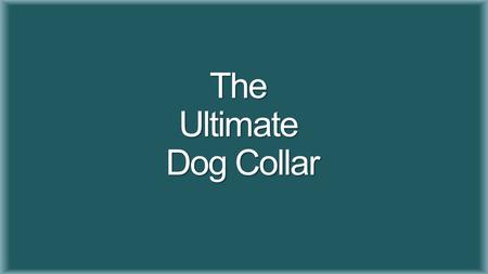 The Ultimate Dog Collar. Faculty Advisor Dr. Patrick Donohoe Daniel Stevenson (Electrical Engineering) Kaytan Mills (Electrical Engineering) Team Leader.