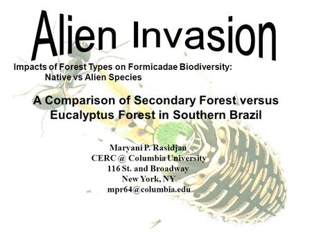 Impacts of Forest Types on Formicadae Biodiversity: Native vs Alien Species A Comparison of Secondary Forest versus Eucalyptus Forest in Southern Brazil.