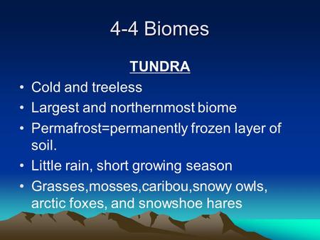 4-4 Biomes TUNDRA Cold and treeless Largest and northernmost biome Permafrost=permanently frozen layer of soil. Little rain, short growing season Grasses,mosses,caribou,snowy.