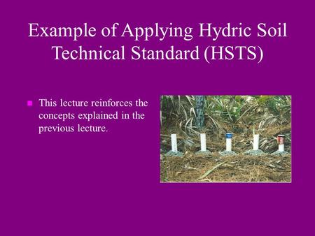 Example of Applying Hydric Soil Technical Standard (HSTS) n This lecture reinforces the concepts explained in the previous lecture.