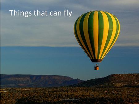 Things that can fly www.arahunga.co.nz. An aeroplane can fly. www.arahunga.co.nz.