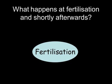 What happens at fertilisation and shortly afterwards? Fertilisation.