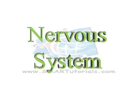 Nervous System.