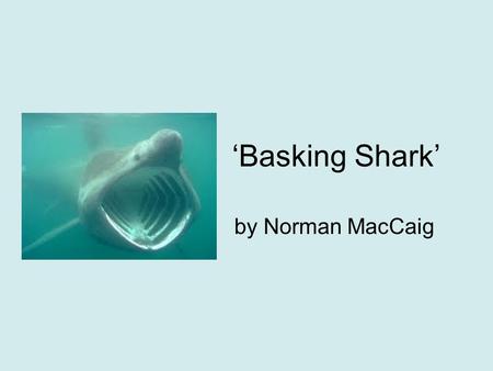 ‘Basking Shark’ by Norman MacCaig.