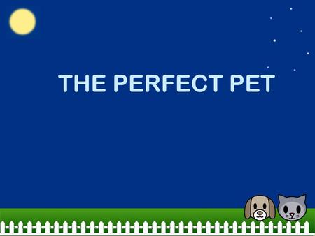 THE PERFECT PET. OBJECTIVES TODAY WE WILL…. Analyze Story Structure Identify the problem and solution in a plot Use academic language: problem, solution.