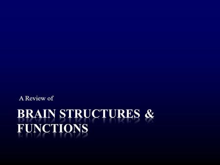 A Review of. The Brain Place the following methods of studying the brain into one of two categories: EEG CT Scan MRI Lesion PET Scan fMRI.