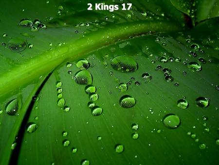 2 Kings 17. 2 Kings 17:1 In the twelfth year of Ahaz king of Judah, Hoshea the son of Elah became king of Israel in Samaria, and he reigned nine years.