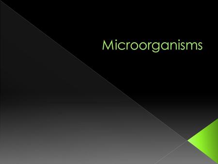 Microorganisms are ______ ______ ______ ______. The three main types are ______, ______ and _______. very smallliving things viruses fungi bacteria.