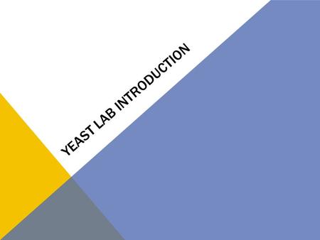 Yeast Lab Introduction