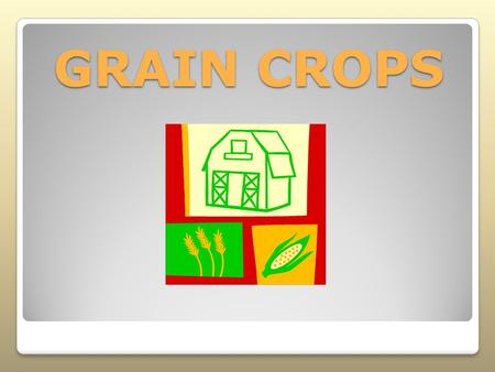 GRAIN CROPS. Interest Approach Have the students answer the following questions with a true or false response. After completing the lesson, check your.