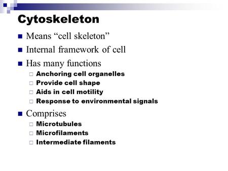 Cytoskeleton Means “cell skeleton” Internal framework of cell