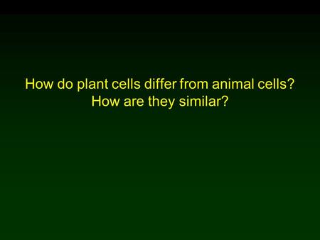 How do plant cells differ from animal cells? How are they similar?