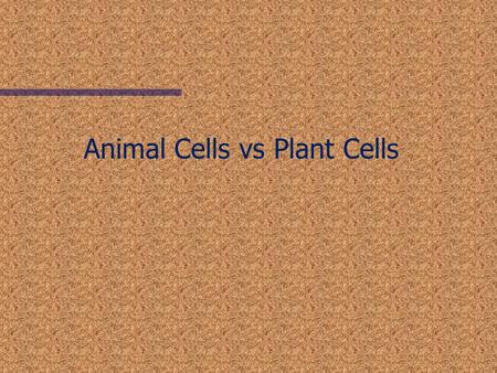 Animal Cells vs Plant Cells. Organelles of Eukaryotes (Plants & Animals) Cell Membrane Nucleus Nucleolus Mitochondria Ribosomes Endoplasmic Reticulum.