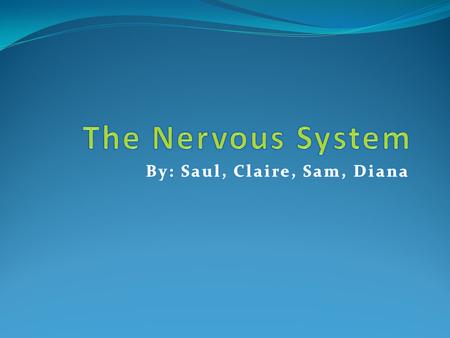 CNS & PNS The neuron has a cell body, the neuron also have structures called dendrites and axons. Dendrites are short extensions of cell that receives.