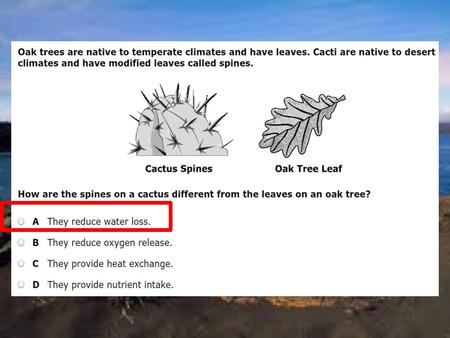 Unit: Biodiversity and Change Unit Essential Question: How does natural selection explain how organisms have changed over time?