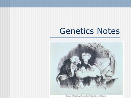 Genetics Notes Review… DNA contains information on how to make you. You are made of proteins which are made of amino acids.