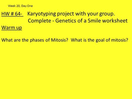 Complete - Genetics of a Smile worksheet