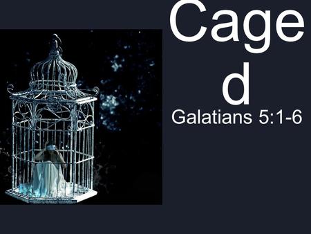 Caged Galatians 5:1-6.