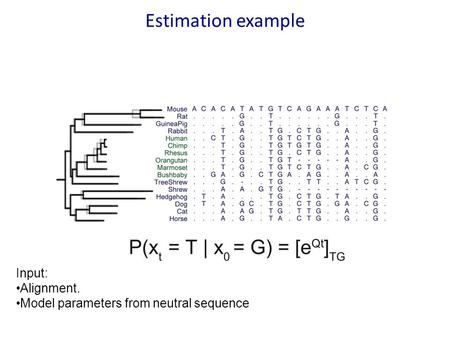 Input: Alignment. Model parameters from neutral sequence Estimation example.