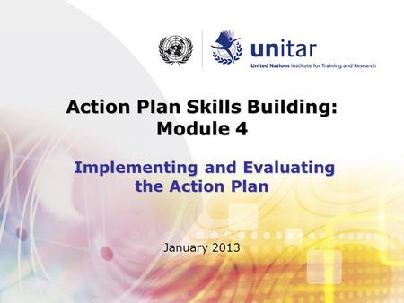 January 2013 Action Plan Skills Building: Module 4 Implementing and Evaluating the Action Plan.