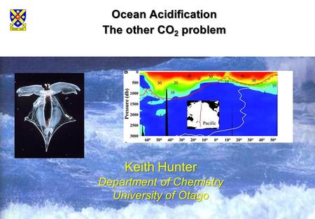 Ocean Acidification The other CO 2 problem Keith Hunter Department of Chemistry University of Otago.