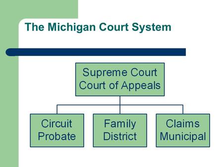 The Michigan Court System. Criminal vs. Civil Civil Law Tort: an offense against an individual A private party (e.g., a corporation or individual person)