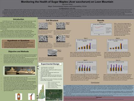 Monitoring the Health of Sugar Maples (Acer saccharum) on Loon Mountain Harrison Jutras Major: Environmental Science and Sustainability, COLSA