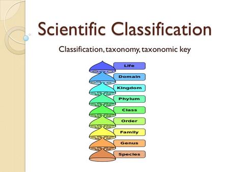 Scientific Classification