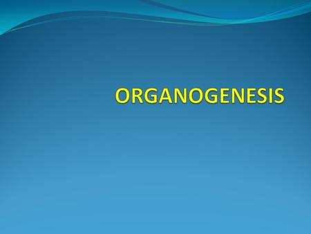 ORGANOGENESIS.