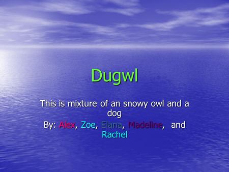 Dugwl This is mixture of an snowy owl and a dog By: Alex, Zoe, Elana, Madeline, and Rachel.