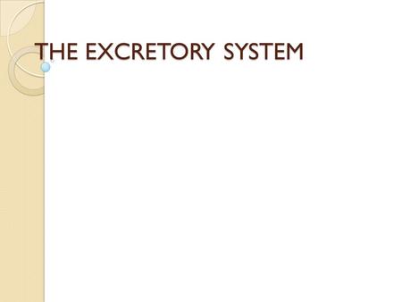 THE EXCRETORY SYSTEM. Function Removes waste products from the blood Cells produce wastes which move out of the cells and into the blood by diffusion.