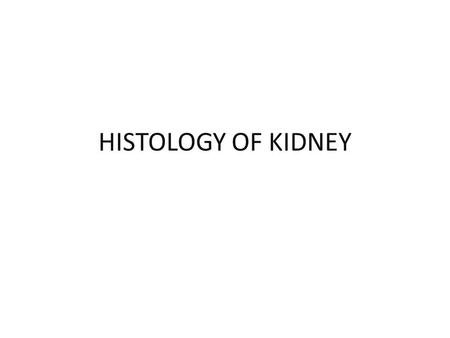 HISTOLOGY OF KIDNEY.