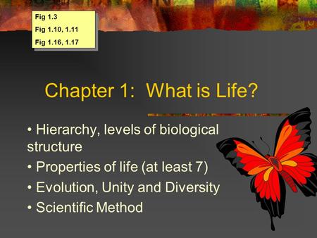 Chapter 1: What is Life? • Hierarchy, levels of biological structure