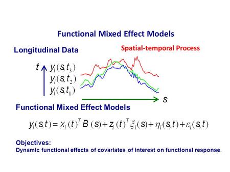 Functional Mixed Effect Models Spatial-temporal Process Longitudinal Data Objectives: Dynamic functional effects of covariates of interest on functional.