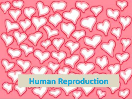 Human Reproduction.