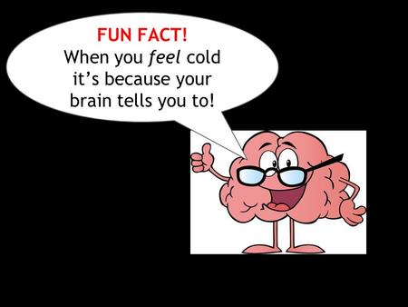 FUN FACT! When you feel cold it’s because your brain tells you to!